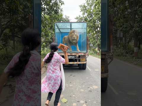 Nishu Ne Sher Ko Bachaya Tabhi 😱 #shorts #ytshorts #viralvideo #lion