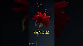 Ömür Bitti Bulamadım Hak Seni Şfet