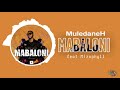 Muledane Hustler - Mabaloni (ft Mizophyll) (Official Audio Visualizer)