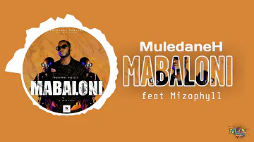 Muledane Hustler - Mabaloni (ft Mizophyll) (Official Audio Visualizer)