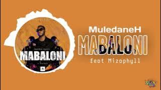 Muledane Hustler - Mabaloni (ft Mizophyll) ( Audio Visualizer)