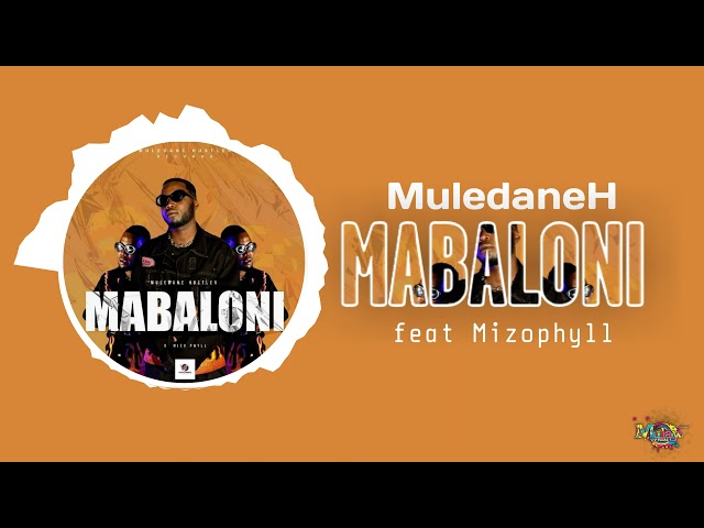 Muledane Hustler - Mabaloni (ft Mizophyll) (Official Audio Visualizer) class=