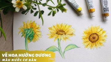 Cách vẽ hoa hướng dương bằng màu nước cơ bản - Tutorial sunflower painting