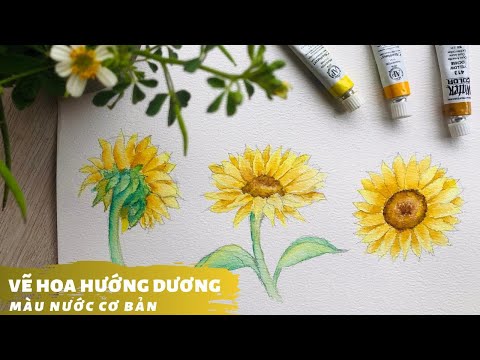 Video: Cách Vẽ Hoa Hướng Dương