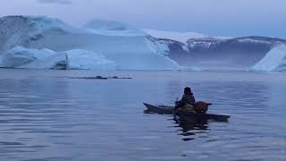 Killerwhales and Narhvales in Qaanaaq