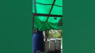 ligo time #everyone #fypviral #subscribe