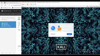 Exploiting Cross-Site Scripting(XSS) to Steal Cookies