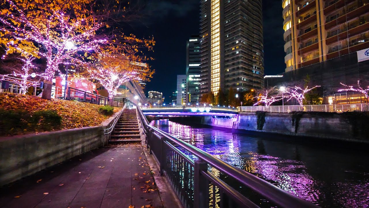 Meguro Sakura Winter Illumination | Japan 4K