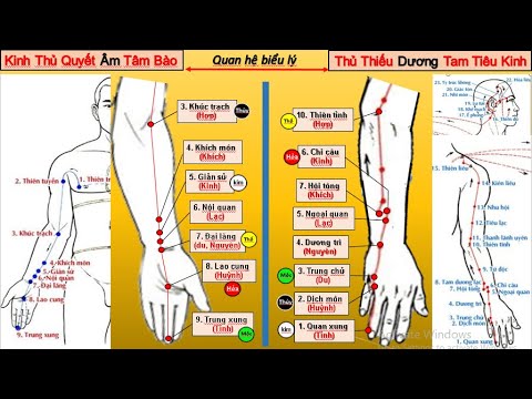 Video 6 CẶP CÓ MỐI QUAN HỆ BIỂU LÝ CỦA 12 ĐƯỜNG KINH - youtube