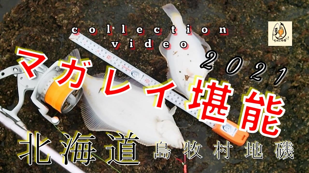 【釣り】2021年　北海道釣り　マガレイ　投げ釣り　collectionvideo　大物釣り　ブッコミ釣り　Vlog
