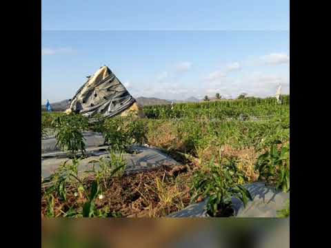 Jamuran / Instrumen Tradisional Jawa