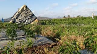 Jamuran  Instrumen Tradisional Jawa