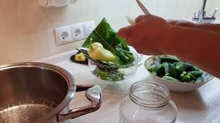 Рецепт очень вкусных хрустящих маринованных огурцов Рецепт очень вкусных хрустящих маринованных огурцов