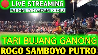 BUJANG GANONG KABUL CS ROGO SAMBOYO PUTRO