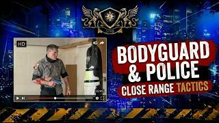 Bodyguard Close-Range Combat: How To Sidestep Correctly