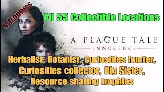 Big sister trophy in A Plague Tale: Innocence (PS4)