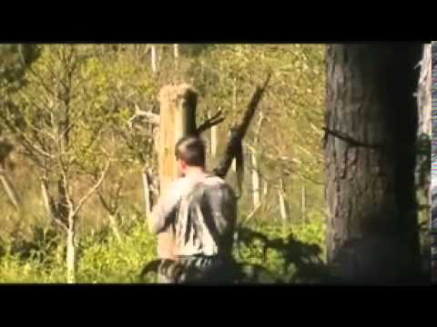 Caught on camera  Gamekeeper filmed setting illegal trap