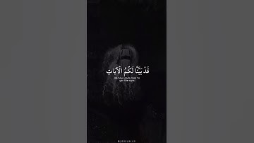 اكتب شي تؤجر عليه 🤍 | القارئ شريف مصطفى | قرآن كريم