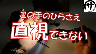 【生セル18650使用可】爆光！THRUNITE　BSS V4　フラッシュライトを検証してみた結果