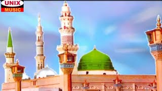 Miniatura de vídeo de "दिल में हुसैन रहते हैं | Dil Me Hussain Rehte Haien | Saleem Altaf | Islamic Song 2021"