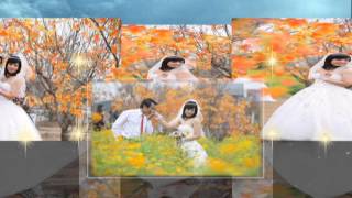 Style Wedding đẹp clip 2