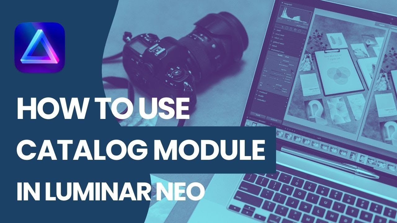 Luminar NEO How to use the Catalog Module YouTube