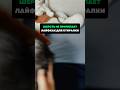 Шерсть не прилипает.Лайфхах для стиралки #лайфхаки #советы #хитрости