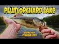 Plum Orchard Lake | Good Day Fishing: EP.2