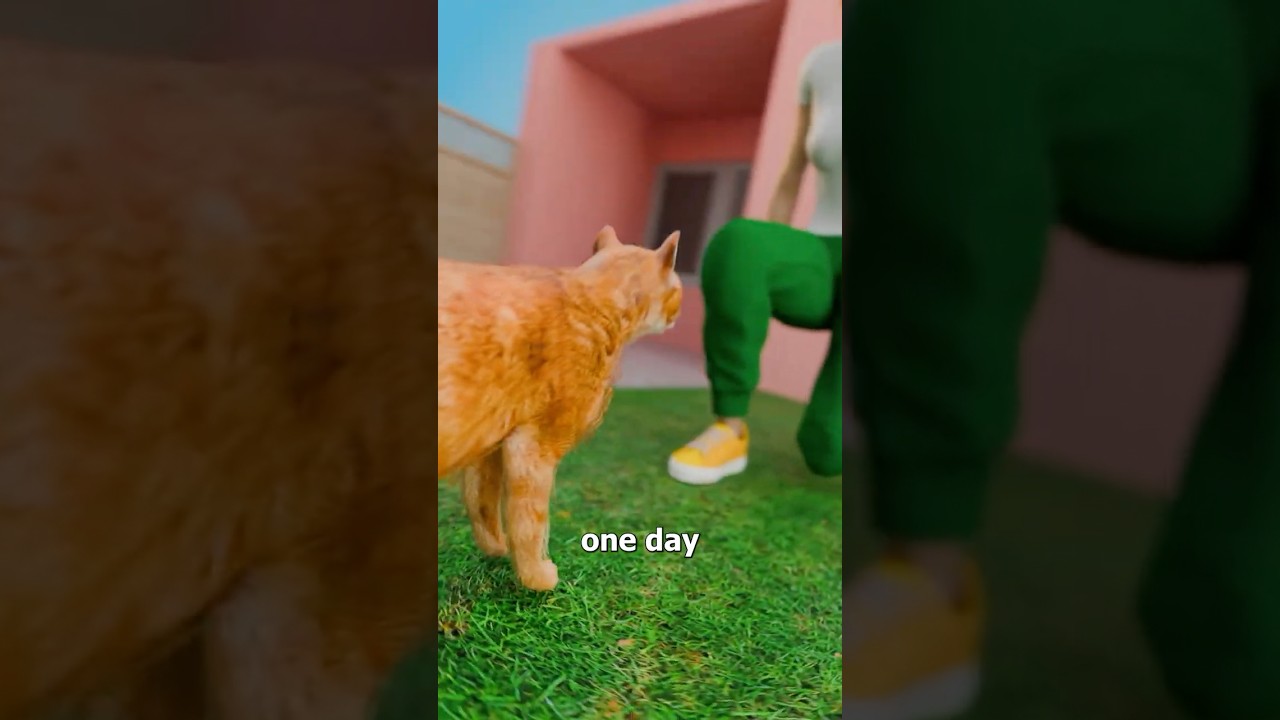 My Cat Started Paying My Rent 😁