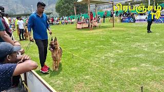 OOTY DOG SHOW  2023