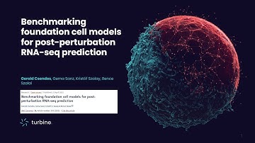 Benchmarking foundational cell models for ptRNA-Seq prediction