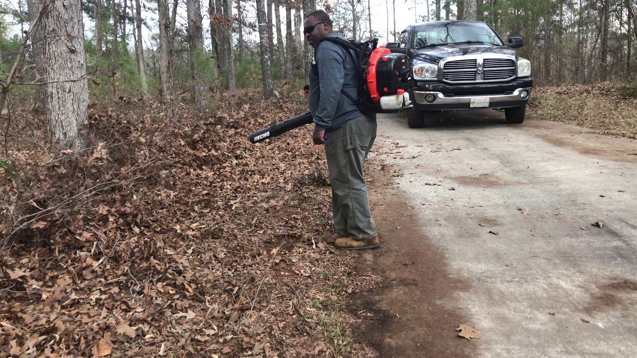 Echo PB770T Bowing Leaves