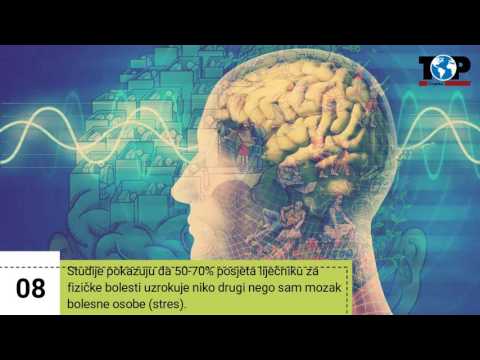 Video: Pileći mozak: zanimljive činjenice