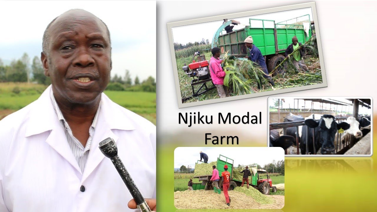 Dr. Muthui Teaches CBC Farming At Njiku Modal Farm Nakuru Bahati (make