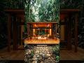 Jungle Wood House 🌿 From Wild Land to Luxury Retreat #Shorts