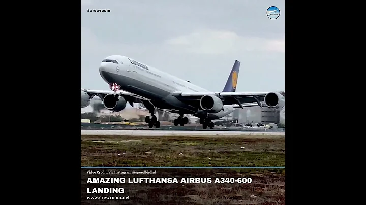 Amazing Lufthansa Airbus A340-600 Landing #shorts