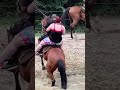 Hayvanlarla geçirilen anlar her zaman tatlıdır... #shorts