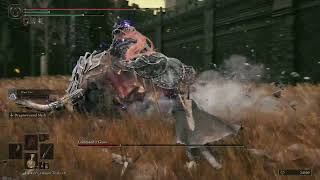 Commander Gaius Boss Fight - Easy Mode