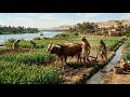 24 Hours in Ancient Egypt (1250 BC)