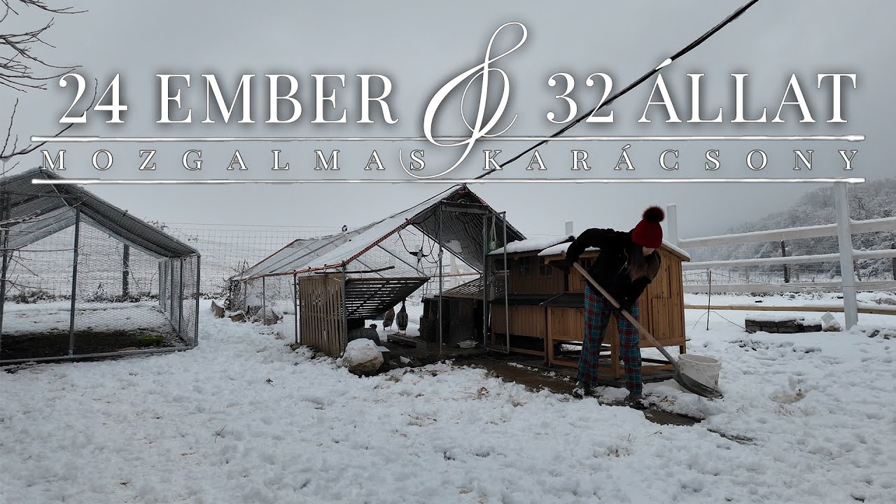 Nagy családi karácsony | Molnár Miléna