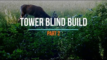 DIY Elevated Deer Blind: Buck Palace Part 2