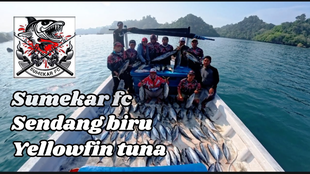 Sumekar FC main agak jauh || malang selatan, sendang biru || target yellowfin tuna || capt fahrul