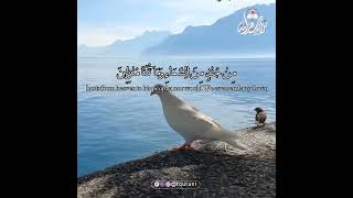 Heavenly Voice Calming Quran Recitation for Deep Soul Healing and Peace #Quran #Spiritual