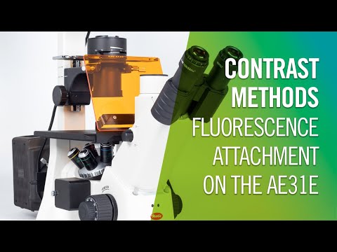 Contrast Methods - How to setup the fluorescence attachment on the AE31E | by Motic Europe