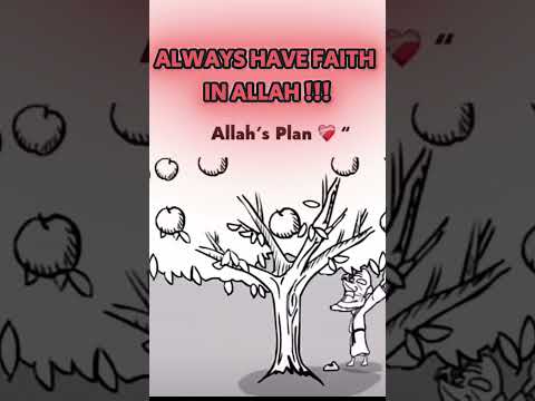 Allah S Plan Shorts Islamicreminder Islam 