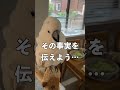 ママ好きオウムに「パパとふたりきり」は禁句 #shorts
