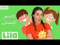 يل ا نرقص جسم الإنسان ليلا تي في