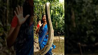 big snake