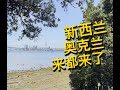 4K自制 | 新西兰奥克兰来都来了 第8期 奥克兰 Birkenhead