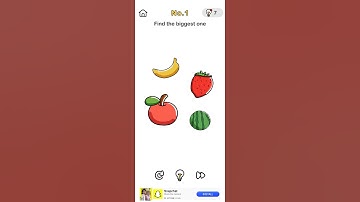 Brain out level 1 complete video